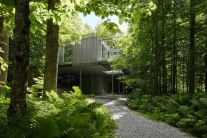Fondation Grantham pour l'art et l'environnement, Grantham Foundation for the Arts and the Environment
