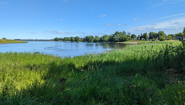 Vue de l'Île Haynes - Nature-Action Québec